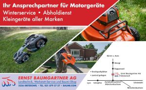 Baumi's Winterservice